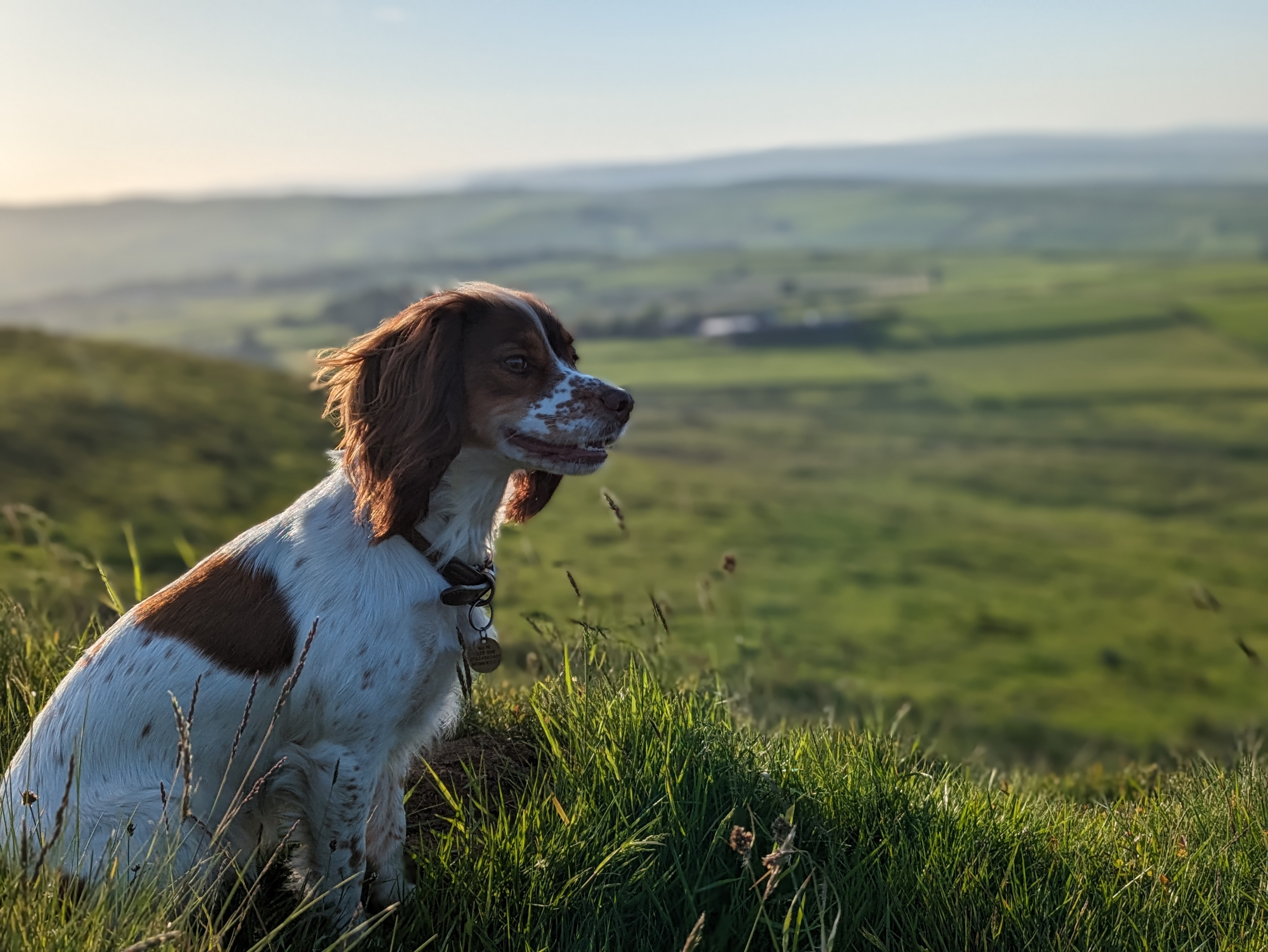 The 5 Best Hikes in Yorkshire for beginners
